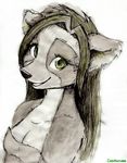  coonkun female green_eyes looking_at_viewer mammal raccoon sketch smile solo 