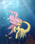  cutie_mark equine female feral fins fish fluttershy_(mlp) friendship_is_magic hair horse mammal marine my_little_pony nyarmarr pink_hair pony sea_pony seapony underwater water 