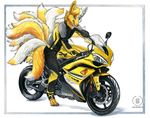  bike bodysuit canine clothed clothing fox fur gloves kacey male mammal motorcycle multicolor_fur multiple_tails overall plain_background skinsuit solo two_tone_fur white_fur yamaha yellow_fur 