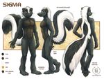  5_fingers 5_toes abs back barefoot black_fur black_nose claws fur hindpaw kacey looking_at_viewer male mammal model_sheet muscles nude orange_eyes pawpads paws pecs plain_background plantigrade pose side_view sigma skunk soles solo standing toes toned whiskers 