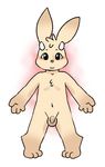  black_eyes cub flaccid horn lagomorph male mammal penis rabbit solo tehweenus young 