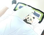  bear bed blush body_pillow chubby cuddling eyes_closed feral hug male mammal okatana panda pillow polar_bear shirokuma shirokuma_cafe sleeping solo 