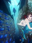  air_bubble animal axis_powers_hetalia bare_legs barefoot bikini breath brown_eyes brown_hair bubble diving fish freediving holding_breath long_hair nail_polish ocean open_mouth ribbon rock seychelles_(hetalia) submerged swimming swimsuit underwater water 