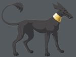  canine collar dog evil feral hibbary male mammal plain_background set seth solo 