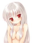  blush breasts hair_censor hair_over_breasts head_tilt long_hair looking_at_viewer nude original red_eyes silver_hair simple_background solo upper_body white_background white_hair yuku_(kiollion) 