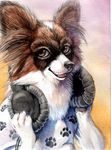  anthro brown_eyes canine dog headphones hibbary mammal papillon portrait smile solo 