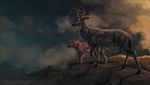  antlers cervine deer feline feral hooves horn mammal night outside rednight 