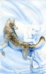  brown_fur canine dancing feral fur hibbary mammal snow white white_fur winter wolf 