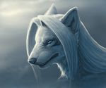  angry aryte blue_eyes canine fog fur hair hibbary long_hair male mammal photorealism portrait solo white white_fur white_hair wolf 