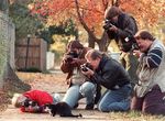  artist camera car cat dniwe_ebanoe fall feline fence human humans leaf leaves light male mammal o_o overweight photo press real street streetlight tree unknown_artist what wood 