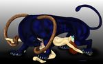  barbs displacer_beast penetration penis tagme 