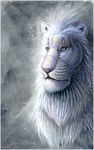  feline feral fur hibbary lion male mammal moonlight portrait solo white white_fur 