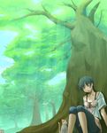  blush cat closed_eyes copyright_request nature sitting sleeping sleeping_upright solo taru_neko tree 