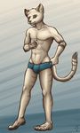  boy_shorts cat feline junip male mammal sandcat solo tea underwear 