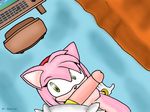  anthro bed blackcat breasts computer female green_eyes hair male penis pink_hair sega sonic_(series) straight 