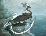  claws dragon female horn hybrid seaside squeedgemonster wings 