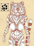  2 anthro blue_eyes breasts feline female front_view looking_at_viewer mammal nipples solo stalker_werewolf tiger werewolfovna 