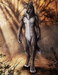  bracelet canine claws darkicewolf digital fantasy jewelry male mammal necklace nude were werewolf wolf wolf-of-samhain 