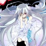  blue_flower blue_rose braid detached_sleeves dress flower ft_yuuki long_hair pandora_hearts rose solo tears very_long_hair white_hair will_of_the_abyss 