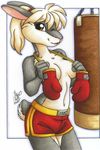  athlete boxer boxing boxing_gloves brown_eyes clothed clothing female half-dressed lagomorph looking_at_viewer mammal michele_light rabbit skimpy solo topless 