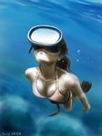  bad_id bad_pixiv_id belt bikini breasts bubble cleavage diving diving_mask diving_mask_on_eyes flippers foreshortening freediving long_hair medium_breasts ocean original realistic saver_(artbysaver) solo swimming swimsuit traditional_media underwater weight_belt 