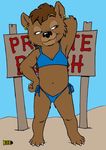  anthro beach bear bikini brown_hair bulletsoup clothed clothing colored cub female hair mammal outside private_beach seaside skimpy smile solo starfish swimsuit young 