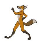  animated anthro canine culpeofox eyes_closed fox happy haters_gonna_hate male mammal nude sheath solo unknown_artist walking 