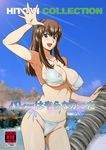  bikini breasts dashigara_100 dead_or_alive hitomi hitomi_(doa) large_breasts nipples smile swimsuit tecmo 