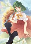  adapted_costume bad_id bad_pixiv_id black_legwear bow dress flower green_hair kazami_yuuka lipstick makeup oversized_object parasol plaid plaid_dress red_eyes shiyun short_hair sitting smile solo sunflower thighhighs touhou umbrella 