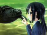  black_hair brown_eyes k-on! long_hair nakano_azusa school_uniform tagme turtle twintails 