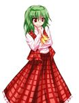  ascot green_hair kazami_yuuka ni_(ippozenshin) plaid plaid_skirt plaid_vest red_eyes ribbon short_hair skirt skirt_set solo touhou vest 
