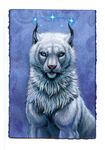  blue_eyes feline feral hallo hibbary lynx mammal night solo star 