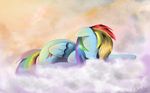  aeronjvl cloud cutie_mark equine eyes_closed female feral friendship_is_magic hair horse lying mammal multi-colored_hair my_little_pony on_front pegasus pony rainbow_dash_(mlp) rainbow_hair sleeping solo wings 