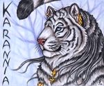  badge ear_piercing feline female forest karannia piercing qzurr smile solo tiger tree wood 