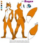  fox fursona male mammal model_sheet plain_background ref_sheet solo tattoo white_background yiffy_foxy zhivagod 