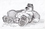  bd belly big_balls canine cum dog male mammal overweight penis solo 