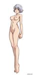  .hack .hack// 1girl bandai barefoot breasts cyber_connect_2 feet full_body highres naked nude pussy shaved_pussy shino shino_(.hack//g.u.) short_hair silver_hair simple_background solo speh standing tiptoes toes uncensored white_background 
