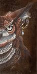  avian feral hibbary jewelry owl portrait solo 
