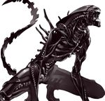  alien_(movie) aliens aliens_vs_predator fangs highres monster no_humans science_fiction solo tail teeth velzhe xenomorph 