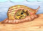  cone cone_snail feline kiba kibacheetah mammal paralyzing snail swallow swallowing taen vorarephilia vore 