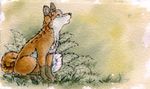  canine feral fox mammal outside ruaidri solo traditional_media watercolor watercolour 