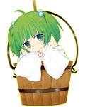  blush bucket bunsai green_eyes green_hair hair_bobbles hair_ornament japanese_clothes kisume long_sleeves off_shoulder short_hair smile solo touhou twintails white_background wide_sleeves wooden_bucket 