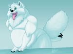  belly big_mama blue_eyes canine chubby chunky cute fluff fox male mammal moobs overweight paws quez quez: silly tongue 