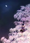  black_cat cat half_moon in_tree irie_io japanese_clothes kimono moon night original sky solo tree 
