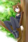  animal_ears breasts brown_hair cleavage cleavage_cutout jason_(kaiten_kussaku_kikou) linith lyrical_nanoha pantyhose short_hair small_breasts smile solo tail 