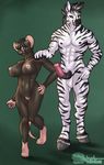  animal_genitalia anthro balls big_breasts big_ears black_fur black_hair breasts duo equine eyewear female fur glasses hair holydust hooves horsecock kris_(koyote) looking_at_viewer male mammal mane molly_(koyote) mouse nipples penis pussy rodent short_hair size_difference stripes thighs wide_hips zebra 