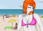  beach bright cat eliana-asato feline female hair ice_cream licking mammal orange_hair sea seaside short_hair sky summer swimsuit tongue water white_cat 