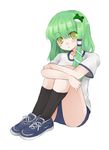  alternate_costume buruma green_hair gym_uniform kochiya_sanae sakaki_chihiro solo touhou 