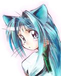  animal_ears blue_hair blush cat_ears eternal_melody jason_(kaiten_kussaku_kikou) long_hair looking_at_viewer solo wendy_miseria 