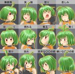  ahoge blush chart ctc expressions fl-chan fl_studio green_hair red_eyes sweat tears 